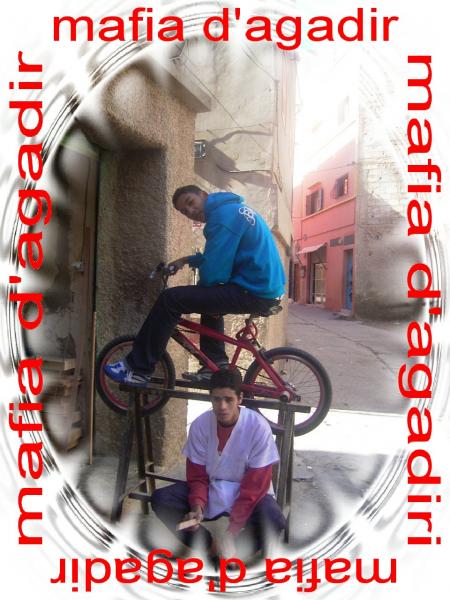 mafiadagadir